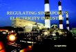 REGULATING SINGAPORE’S ELECTRICITY INDUSTRY 11 April 2011