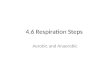 4.6 Respiration Steps Aerobic and Anaerobic