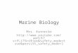 Marine Biology Mrs. Kunnecke  5niRjpo&safety_mode=true&persist_saf ety_mode=1