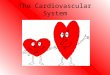 The Cardiovascular System. Alabama Course of Study Identifying structures and functions of the Cardiovascular System. Tracing the flow of blood through