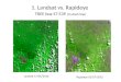 1. Landsat vs. Rapideye TREE box S7 E39 (in dash line) 1 3 4 2 5 Landsat 17/05/2010 Rapideye 02/07/2010
