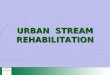 URBAN STREAM REHABILITATION. The URBEM Framework