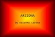 ARIZONA By Brianna Carter. Arizona Arizona is located in the southwest region in United States. Arizona has Mountains and Grand Canyons. Millions of land