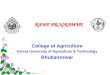 College of Agriculture Orissa University of Agriculture & Technology