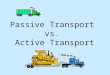 Passive Transport vs. Active Transport. Remember that all cells have … Plasma or cell membranes that are selectively permeable and very fluid… (Click