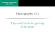 Curriculum ~ Photography Tips & tricks Photography 101 Tips and tricks to getting THE shot!