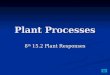 Plant Processes 8 th 15.2 Plant Responses. Plant Responses Tropism – response of a plant to an outside stimulus Tropism – response of a plant to an outside