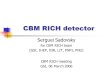 CBM RICH detector Serguei Sadovsky for CBM RICH team (GSI, IHEP, INR, LIT, PNPI, PNU) CBM RICH meeting GSI, 06 March 2006