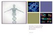 + Genetic Engineering Gene Expression & Mutations Review