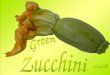 Zucchini Zucchini (courgette in French) are high in fiber. They are rich in beta-carotene, vitamin C, folic acid and calcium. One cup of zucchini has