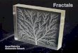 Introduction  Definition of a fractal  Special fractals: * The Mandelbrot set * The Koch snowflake * Sierpiński triangle  Fractals in nature  Conclusion