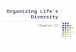 Organizing Life’s Diversity Chapter 17. How Classification Began In order to better understand organisms scientists group them. Classification is the