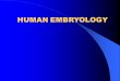 HUMAN EMBRYOLOGY. Chapter 24 Development of Digestive and Respiratory Systems 1. Primordium -- The primitive gut