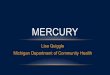 Lisa Quiggle Michigan Department of Community Health MERCURY