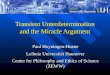 Transient Unterdetermination and the Miracle Argument Paul Hoyningen-Huene Leibniz Universität Hannover Center for Philosophy and Ethics of Science (ZEWW)