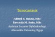 Ahmed Y. Hatata, MSc Rowayda M. Amin, MSc Assistant Lecturer Ophthalmology Alexandria University, Egypt Toxocariasis