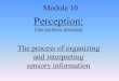 Perception: Uses top-down processing The process of organizing and interpreting sensory information Module 10