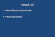 Week 13 More Word practical work More case study
