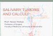 SALIVARY TUMORS AND CALCULI Prof. Yasser Hamza Professor of Surgery Faculty of Medicine, University of Alexandria
