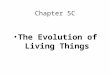 Chapter 5C The Evolution of Living Things. Change Over Time….. Adaptation – a change that helps an organism survive and reproduce in its environment