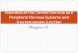 Chapter 15 Disorders of the Central Nervous and Peripheral Nervous Systems and Neuromuscular Junction