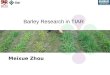 Barley Research in TIAR Meixue Zhou. Barley Research in TIAR s Breeding –Long season and high rainfall areas - Franklin –Spring sown barley – Vertess