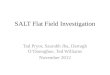 SALT Flat Field Investigation Tad Pryor, Saurabh Jha, Darragh O’Donoghue, Ted Williams November 2012