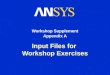 Input Files for Workshop Exercises Workshop Supplement Appendix A