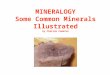 MINERALOGY Some Common Minerals Illustrated by Charina Cameron