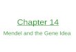 Chapter 14 Mendel and the Gene Idea. Mendelian genetics Gregor Mendel – father of genetics Austrian monk pioneer in the field gardener at monastery