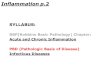 Inflammation p.2 SYLLABUS: RBP(Robbins Basic Pathology) Chapter: Acute and Chronic Inflammation PBD (Pathologic Basis of Disease) Infectious Diseases