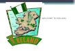 WELCOME TO IRELAND. IREI IRELAND Ireland is an island to the north-west of continental Europe. It is the third largest island in Europe. To its east is