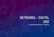 NETWORKS – DIGITAL SILK SOFTWARE DEVELOPMENT UNIT 4 – OUTCOME 2