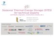 1 Seasonal Thermal Energy Storage (STES) for technical experts (architects, engineers, construction industry etc.) Mr Miguel Ramirez Dr Shane Colclough