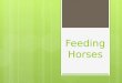 Feeding Horses. Nutrient Requirements  All horses require certain nutrients to maintain body weight and to support digestive and metabolic functions