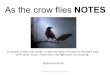 As the crow flies NOTES A rooster crows only when it sees the light. Put him in the dark and he'll never crow. I have seen the light and I'm crowing. -