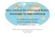 Non-clinical Deployment Roles: Domestic to International