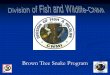 Division of Fish and Wildlife-CNMI