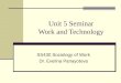 Unit 5 Seminar Work and Technology SS430 Sociology of Work Dr. Evelina Panayotova