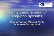 The hydraulic scaling of step- pool systems Paul A Carling, Wlodek Tych and Keith Richardson