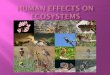 Human use of ecosystems:  Humans have decreased biodiversity of ecosystems at a very fast rate