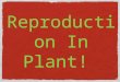 Reproduction In Plant!. a plant can reproduce sexually and asexually