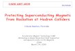 Protecting Superconducting Magnets from Radiation at Hadron Colliders Accelerator Magnet Technology CARE Workshop on Beam Generated Heat Deposition and