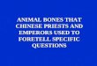 ANIMAL BONES THAT CHINESE PRIESTS AND EMPERORS USED TO FORETELL SPECIFIC QUESTIONS