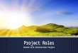 Project Roles Second Life Construction Project. Role Descriptions  The following role descriptions are outlines – they are not complete descriptions