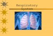 Respiratory System. Respiratory System Anatomy Nasal Cavities – Air enters the nostrils, and passes through the nasal cavities, where air is warmed and