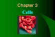 Chapter 3 Cells. Introduction Cells are the smallest living unit in our body that varies in shape & size Differences in cell shape makes different functions