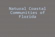Natural Coastal Communities of Florida. Floridas 3 Zones: Highlands/Ridgelands/Upland Plains Innermost zones Highlands  mostly clay Upland plains