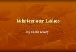 Whitemoor Lakes By Elana Lowry. Dormitories When we arrived there we got put into dormitories. The girls were in Buttermere and the boys were in Derwent