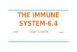 THE IMMUNE SYSTEM-6.4 Gillian & Jorelle. OVERVIEW OF THE IMMUNE SYSTEM. :) → → →→ → → IMMUNE SYSTEM-Enables an animal to avoid or limit infections